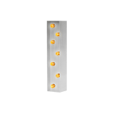 Bokstavslampa Cirkuslampan Testlampa I Raw Metal / 50 cm / Standard